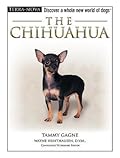 The Chihuahua