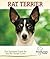 Rat Terrier: A Practical Guide for the Rat Terrier Lover (Breed Lover's Guide)
