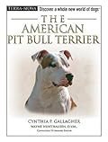 The American Pit Bull Terrier