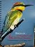 Birds of Teralba Park and K...