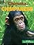 Chimaka the Chimpanzee by Jan Latta