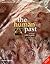 The Human Past by Chris Scarre