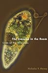 The Amoeba in the...