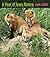 A Year of Iowa Nature: Discovering Where We Live (Bur Oak Book)