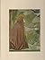 The world of Giotto, c. 1267-1337