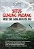 Situs Gunung Padang: Mister...