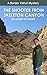 The Shooter from Skeleton Canyon (Border Patrol Adventures Book 1)