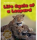 Life cycle of a leopard