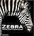 Zebra: A Patient’s Guide to Cushing’s Disease