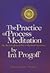 The Practice of Process Meditation: The Intensive Journal Way to Spiritual Experience