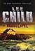 Dubbelspel by Lee Child