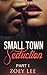 Small Town Seduction Part I, II, and III