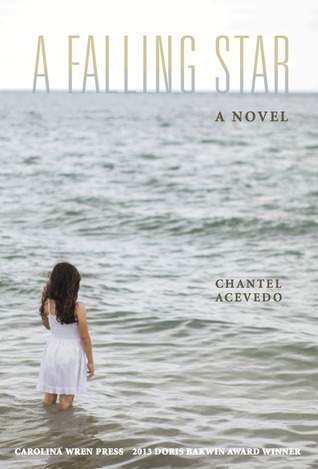 A Falling Star (Paperback)