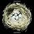 Nests: Fifty Nests and the ...