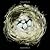 Nests by Sharon Beals