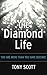 The Diamond Life: You Are More Than You Have Become!