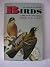 Birds: A guide to the most ...