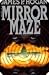 The Mirror Maze