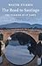 The Road to Santiago (John Murray Travel Classics)