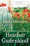 Little Mercies by Heather Gudenkauf