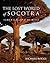 The Lost World of Socotra