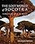 The Lost World of Socotra