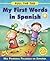 Pull the Tab: My First Words in Spanish: Mis Primeras Palabras en Espanol - Pull the Tab To See the Hidden Words!