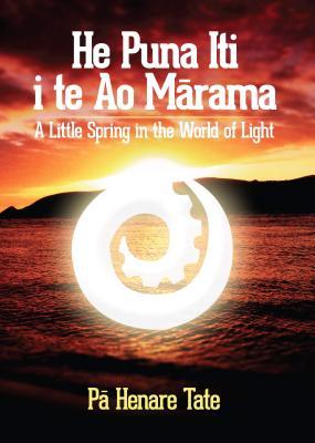 He Puna Iti i te Ao Marama: A Little Spring in the World of Light