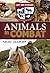 Animals In Combat