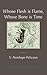 Whose Flesh is Flame, Whose Bone is Time by V. Penelope Pelizzon