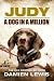 Judy: A Dog In A Million