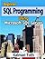 Beginner SQL Programming Using Microsoft SQL Server