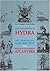 Die Vielköpfige Hydra: Die Verborgene Geschichte Des Revolutionären Atlantiks