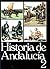 Historia de Andalucía #2 (H...