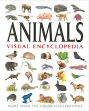 Animals: Visual Encyclopedia (Paperback)