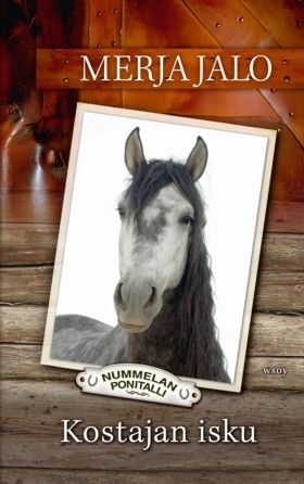 Kostajan isku (Hardcover)