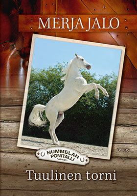 Tuulinen torni (Hardcover)