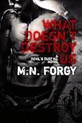 What Doesn't Destroy Us (The Devil's Dust, #1)