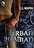 Urban Shaman by C.E. Murphy