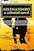 Kilimanjaro: a colonial novel