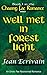 Chasing Fae Romance Book 1 Well Met in Forest Light: