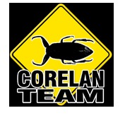 CORELAN Exploit Writing Tutorials