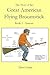 The Story of the American Flying Broomstick, Book 1: Genesis