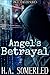 Angel's Betrayal (Angel Hacker Series #2)