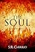 The Soul (The Soul, #1)