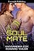 Soul Mate