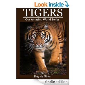 Tigers: Amazing Pictures & Fun Facts on Animals in Nature