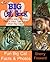 THE BIG CAT BOOK: What Kids Want to Know About Lions, Tigers and Other Big Cats! Fun Facts and Photos