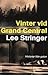 Vinter vid Grand Central