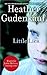 Little Lies by Heather Gudenkauf